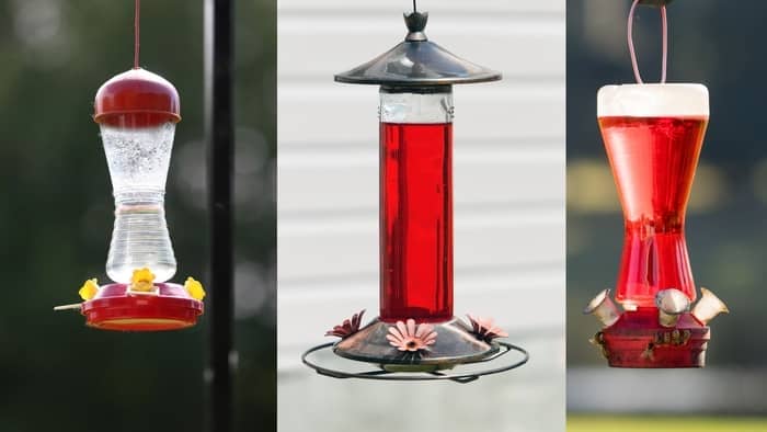  types of hummingbird feeders