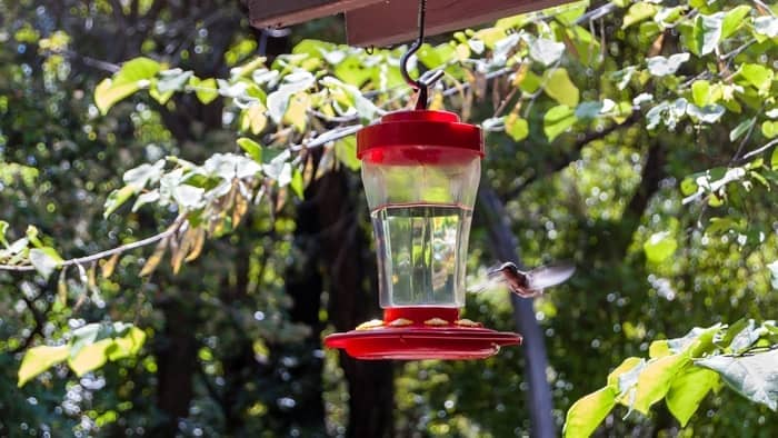 Hang Feeders at the Correct Height and Make Them Hard to Reach