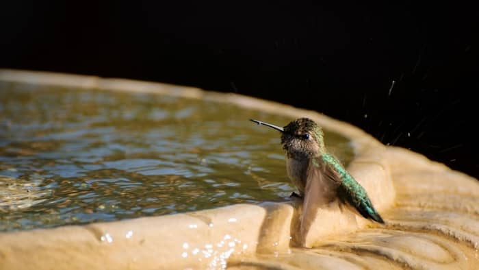  solar fountain kit