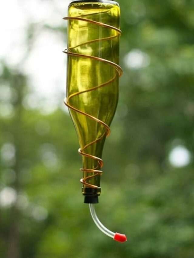 DIY A Hummingbird Feeder Out Of A Wine Bottle