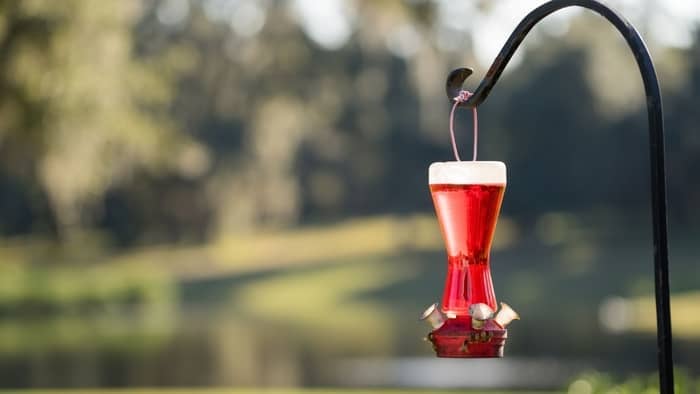  how high to hang hummingbird feeder