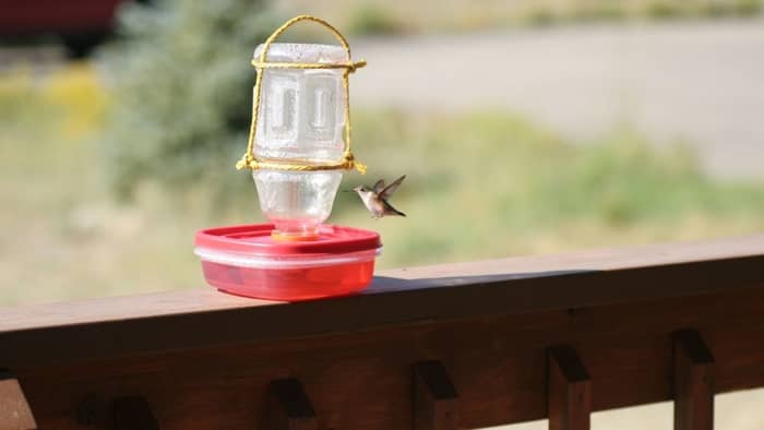  How do you make a cheap hummingbird feeder?