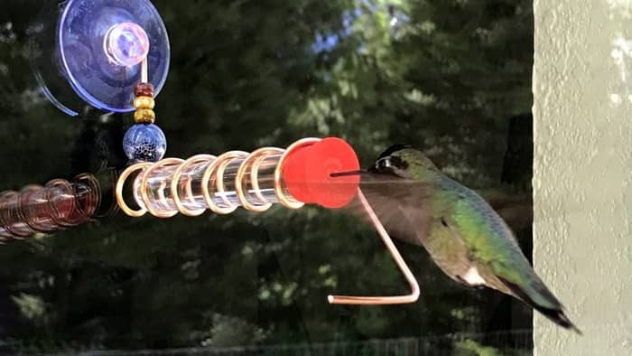  How do you hang a hummingbird feeder in a window?