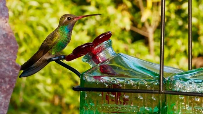 How do you keep a hummingbird feeder from leaking?