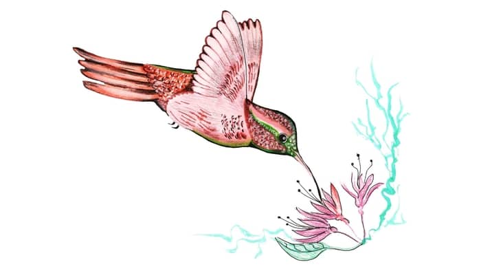  How do you paint a hummingbird in watercolor?