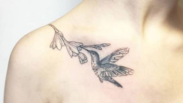  hummingbird tattoo meaning- What do hummingbirds symbolize?