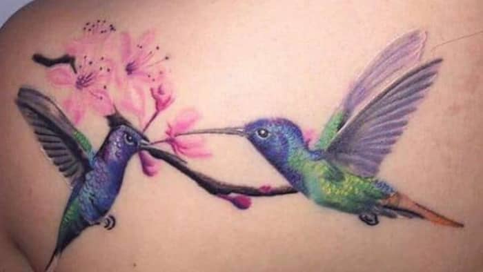  What does 2 hummingbird tattoo mean?