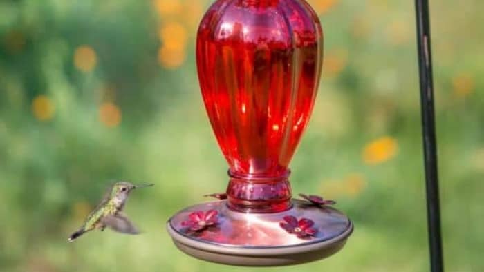  leak proof hummingbird feeder