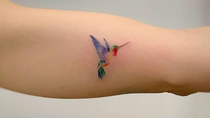  what do hummingbird tattoos mean