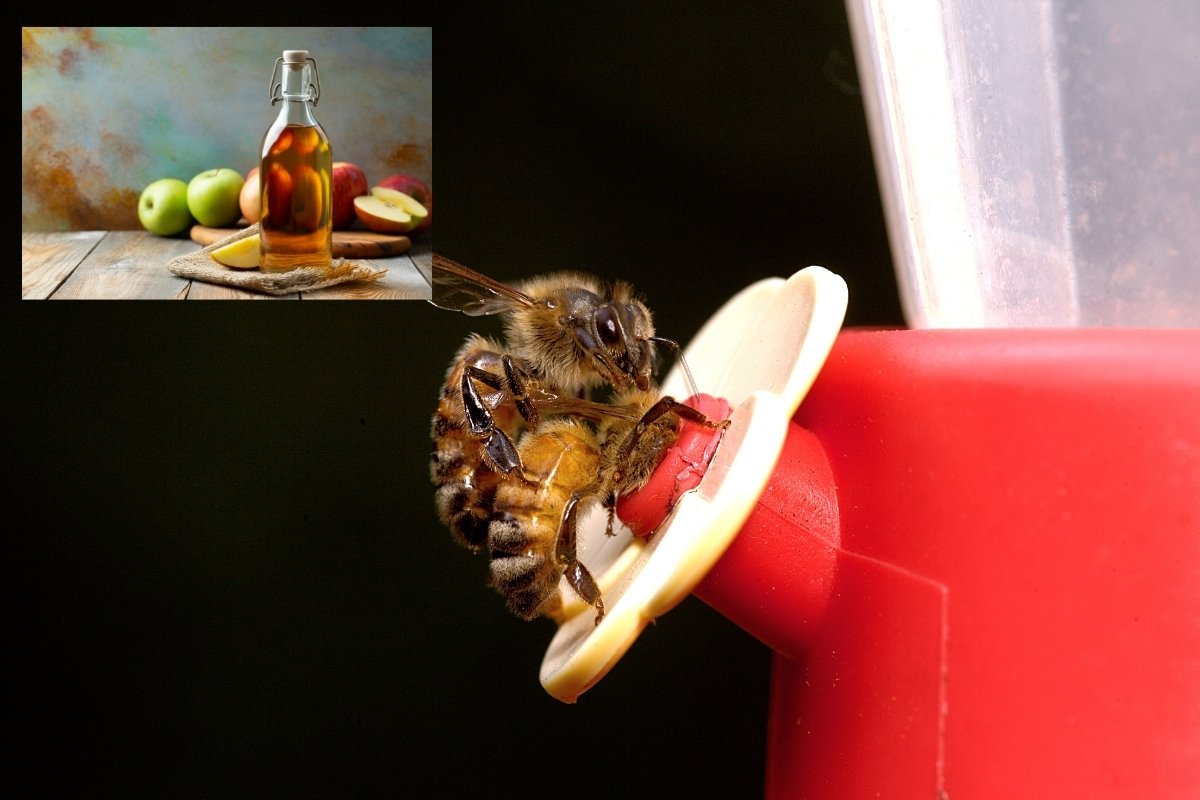 Does Vinegar Kill Bees - 3 Alternative Ways To Chase Them Away