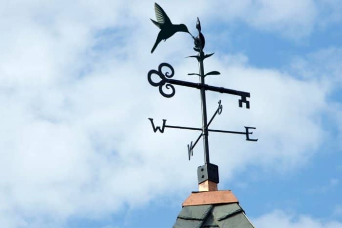 Why You Need a Hummingbird Weathervane