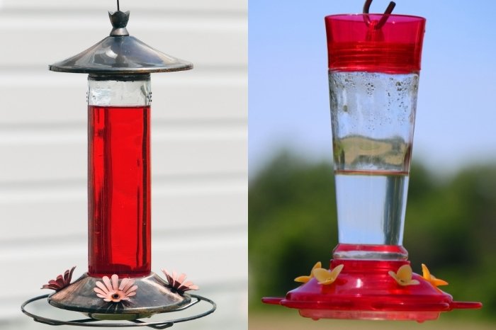 Glass Vs Plastic Hummingbird Feeders
