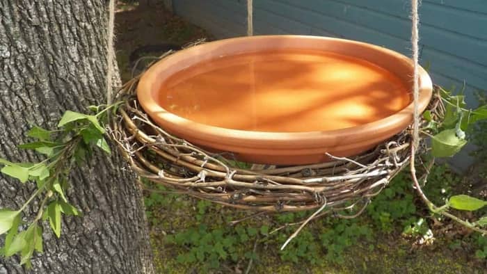  How deep should a hummingbird bird bath be?