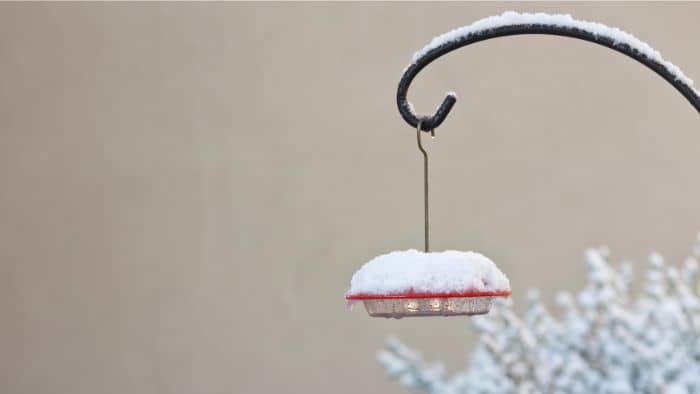  How do you hang a hummingbird feeder on a deck?