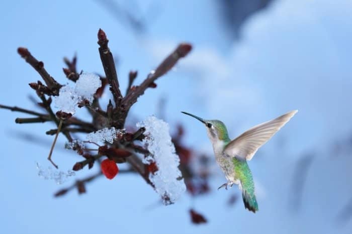 Dangers Lurking In Winter