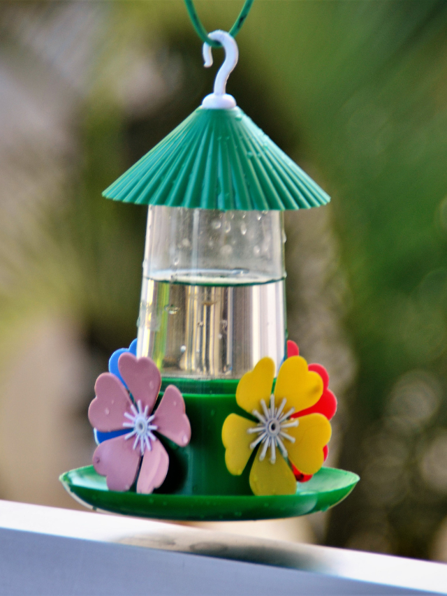Tips For Choosing The Right Hummingbird Feeder