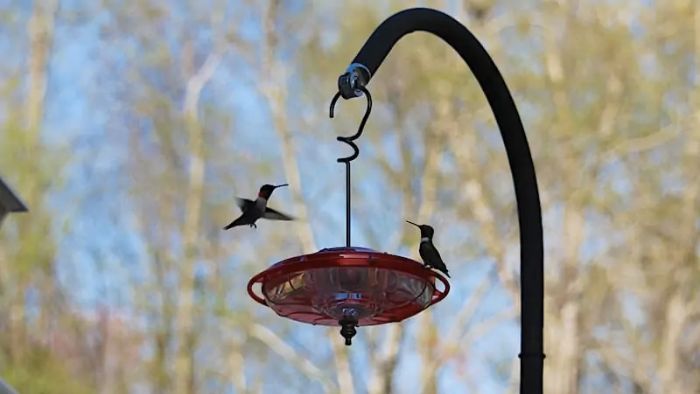  deck rail hummingbird feeder