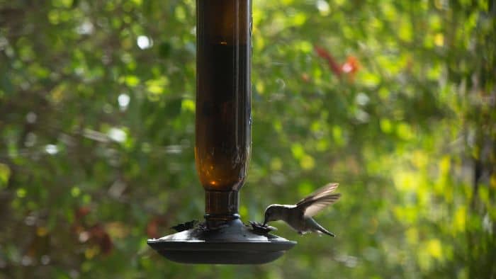  hummingbird feeder holder for deck