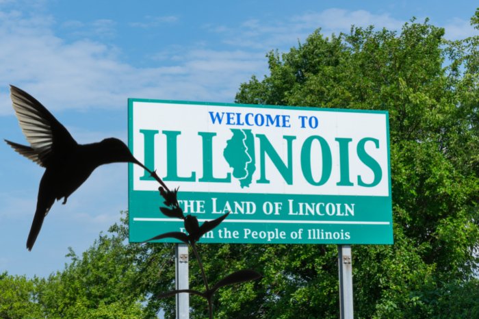Illinois & Hummingbirds; Love Or Hate